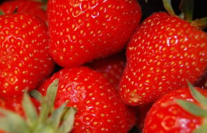芜湖果蔬配送-草莓的清洗方法