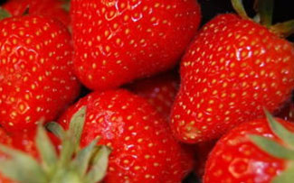 芜湖草莓